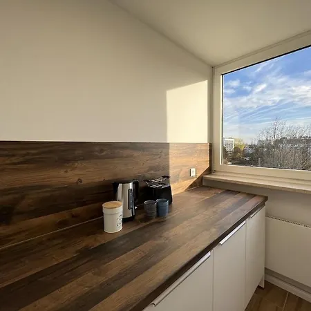 City Penthouse With 110 Sqm - Including Mountain View