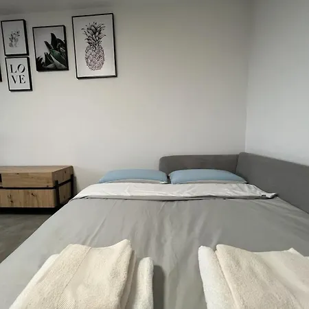 דירה City Penthouse With 110 Sqm - Including Mountain View מינכן