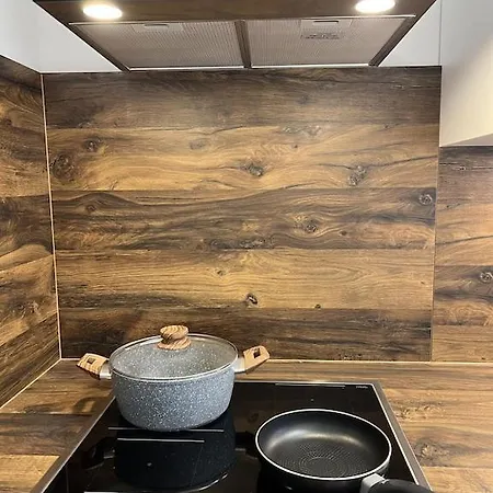 City Penthouse With 110 Sqm - Including Mountain View דירה מינכן